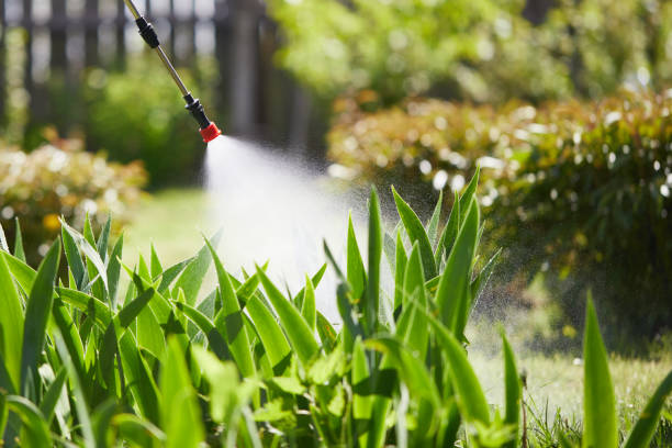 Tamper-Resistant Bait Stations for Rodents in Bonner-West Riverside