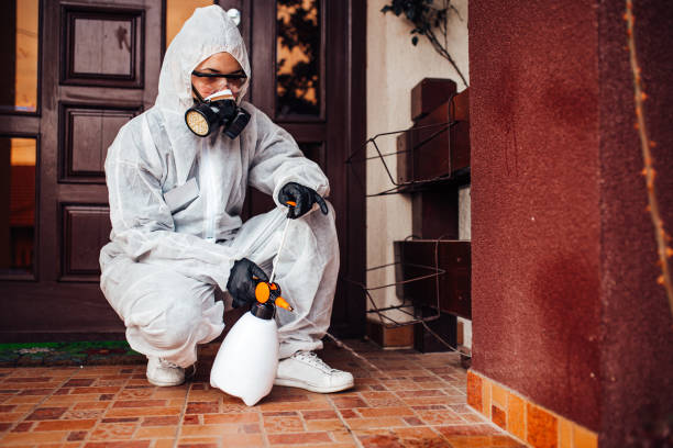 Attic and Crawl Space Rodent Treatment in Bonner-West Riverside